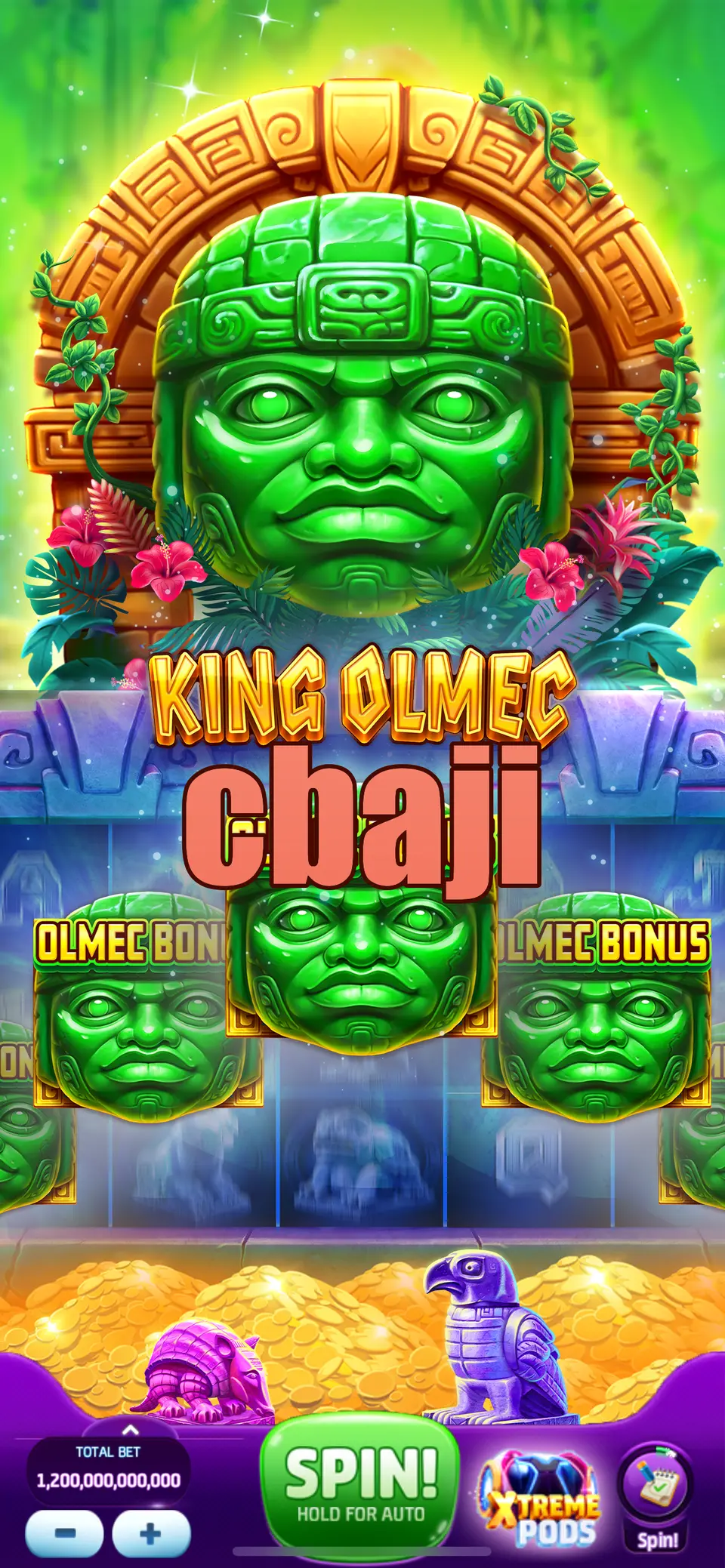 cbaji লগইন